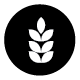 Gluten